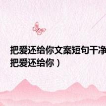 把爱还给你文案短句干净治愈（把爱还给你）