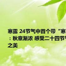 寒露 24节气中首个带“寒”的节气：秋意渐浓 感受二十四节气的寒意之美