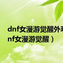 dnf女漫游觉醒外观（dnf女漫游觉醒）