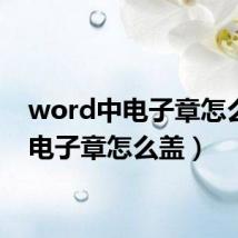 word中电子章怎么盖（电子章怎么盖）