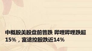 中概股美股盘前普跌 哔哩哔哩跌超15%，富途控股跌近14%