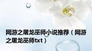 网游之屠龙巫师小说推荐（网游之屠龙巫师txt）