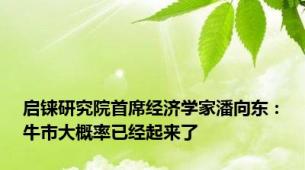 启铼研究院首席经济学家潘向东：牛市大概率已经起来了