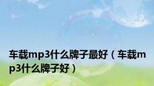 车载mp3什么牌子最好（车载mp3什么牌子好）