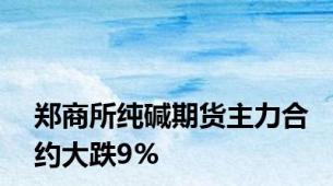 郑商所纯碱期货主力合约大跌9%