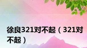 徐良321对不起（321对不起）