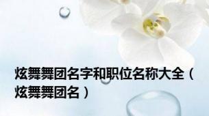 炫舞舞团名字和职位名称大全（炫舞舞团名）