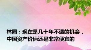 林园：现在是几十年不遇的机会，中国资产价值还是非常便宜的