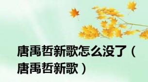 唐禹哲新歌怎么没了（唐禹哲新歌）