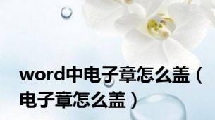 word中电子章怎么盖（电子章怎么盖）