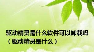 驱动精灵是什么软件可以卸载吗（驱动精灵是什么）