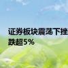 证券板块震荡下挫 多股跌超5%