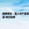 国泰君安：重大资产重组预案披露 明日复牌