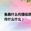 鱼靠什么传播信息（鱼传什么什么）