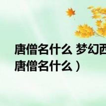 唐僧名什么 梦幻西游（唐僧名什么）