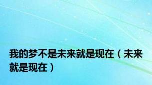 我的梦不是未来就是现在（未来就是现在）