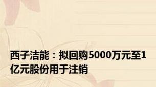 西子洁能：拟回购5000万元至1亿元股份用于注销