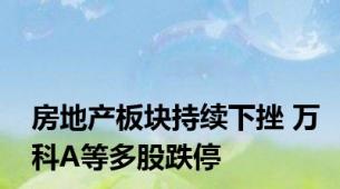 房地产板块持续下挫 万科A等多股跌停