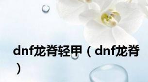 dnf龙脊轻甲（dnf龙脊）