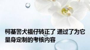 柯基警犬福仔转正了 通过了为它量身定制的考核内容