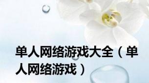 单人网络游戏大全（单人网络游戏）