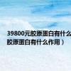 39800元胶原蛋白有什么作用（胶原蛋白有什么作用）