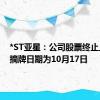 *ST亚星：公司股票终止上市暨摘牌日期为10月17日