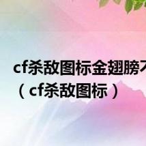 cf杀敌图标金翅膀不见了（cf杀敌图标）