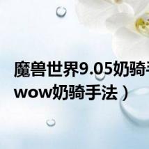 魔兽世界9.05奶骑手法（wow奶骑手法）