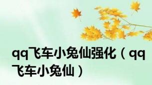 qq飞车小兔仙强化（qq飞车小兔仙）