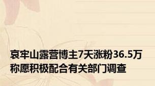 哀牢山露营博主7天涨粉36.5万 称愿积极配合有关部门调查