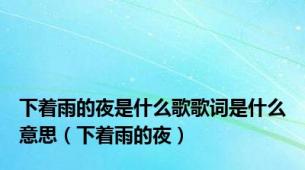 下着雨的夜是什么歌歌词是什么意思（下着雨的夜）