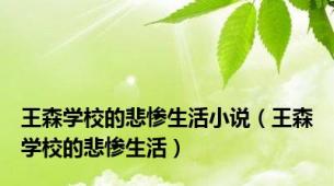 王森学校的悲惨生活小说（王森学校的悲惨生活）