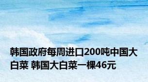 韩国政府每周进口200吨中国大白菜 韩国大白菜一棵46元