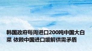 韩国政府每周进口200吨中国大白菜 依赖中国进口缓解供需矛盾