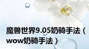 魔兽世界9.05奶骑手法（wow奶骑手法）