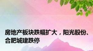 房地产板块跌幅扩大，阳光股份、合肥城建跌停