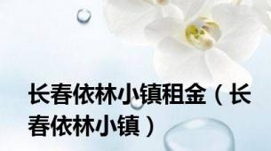 长春依林小镇租金（长春依林小镇）