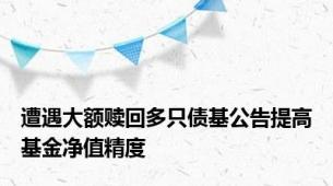 遭遇大额赎回多只债基公告提高基金净值精度