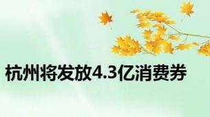 杭州将发放4.3亿消费券