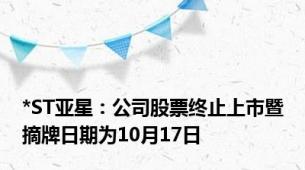 *ST亚星：公司股票终止上市暨摘牌日期为10月17日