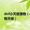 dnf小天使宠物（qq宠物天使）