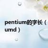 pentium的字长（pentiumd）