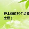 种土豆的10个步骤（种土豆）