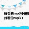 好看的mp3小说推荐（好看的mp3）