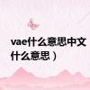 vae什么意思中文（vae什么意思）