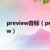 preview音标（preview）