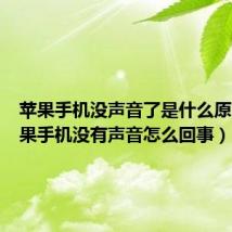 苹果手机没声音了是什么原因（苹果手机没有声音怎么回事）