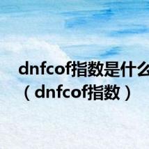 dnfcof指数是什么意思（dnfcof指数）