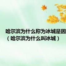 哈尔滨为什么称为冰城是因为什么（哈尔滨为什么叫冰城）